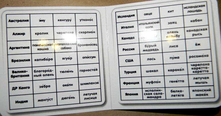 Комплект "Большое путешествие" от компании "Умница"