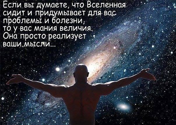 Мои Школы