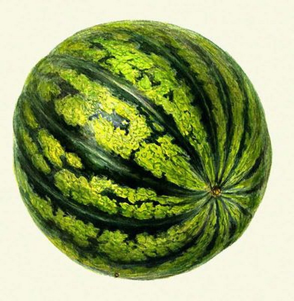 e0d3ce47aeecc66b72eb568c3297a79c.jpg