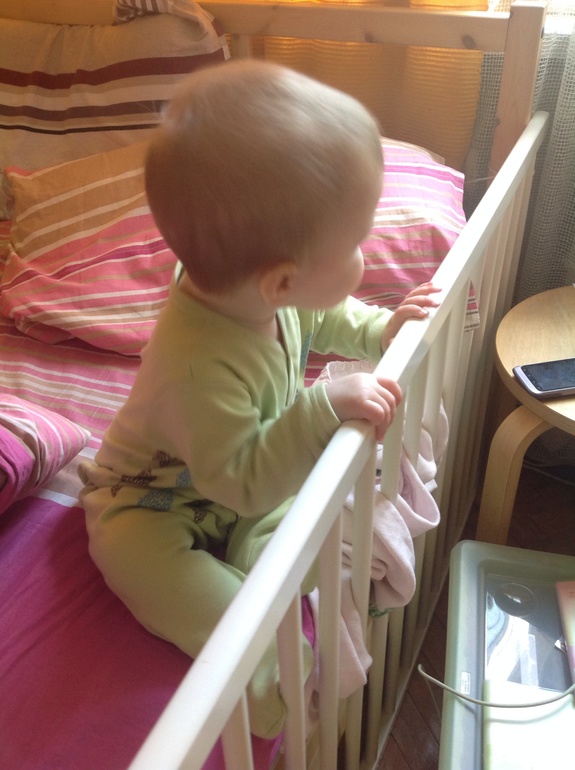 Новое, 7,5 мес.