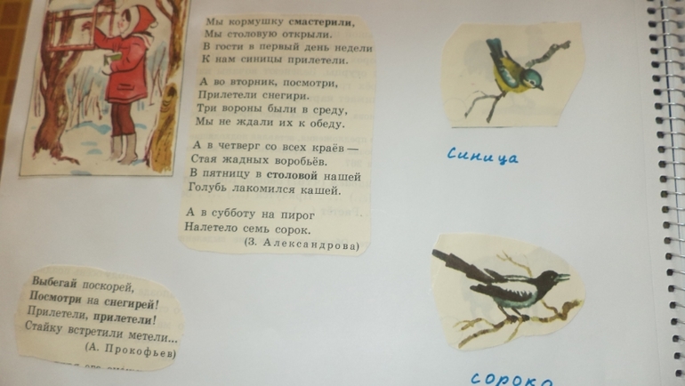 Наш зимний альбом.