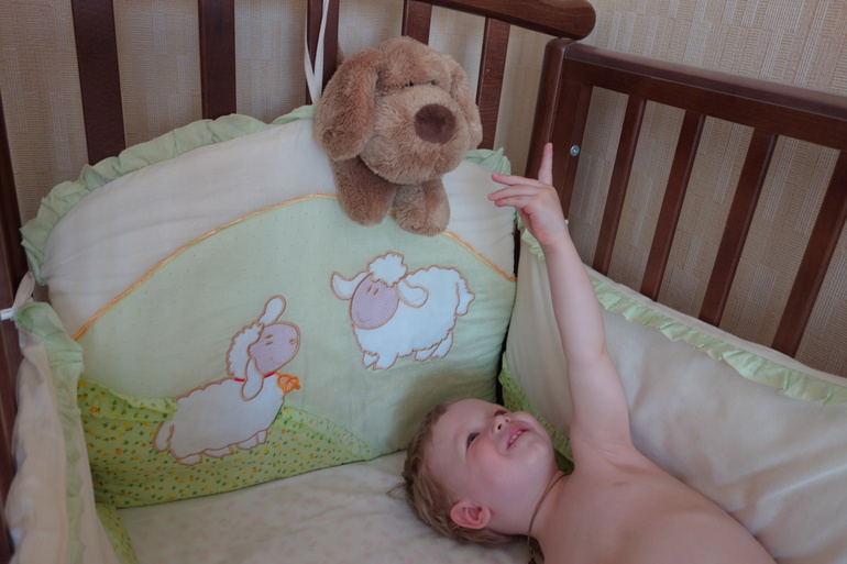 Отчёт о ТН "Домашние животные" (2 день)