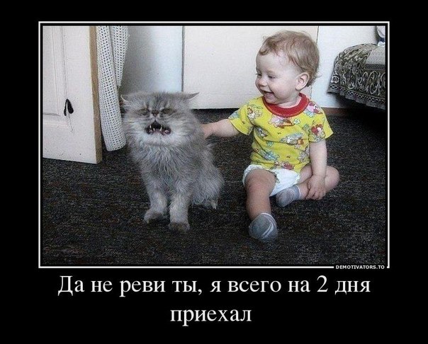 Щедроты "Юмора"