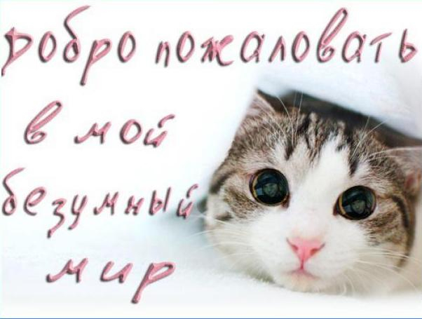 ПРИВЕТСТВИЕ!!!!