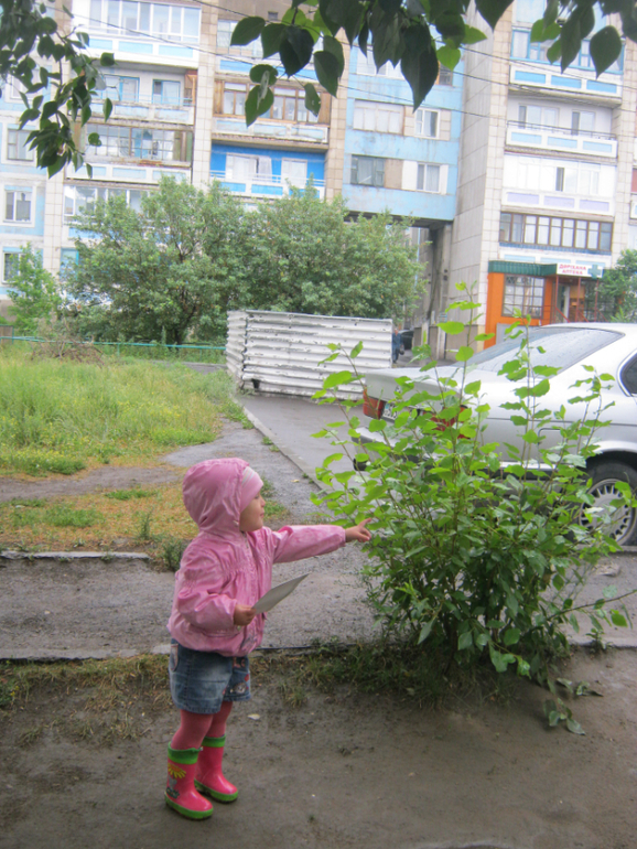 ДОЖДЬ......:))))))))))))))))