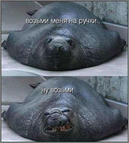И так каждый день.