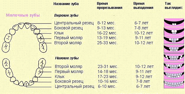 верхние единички