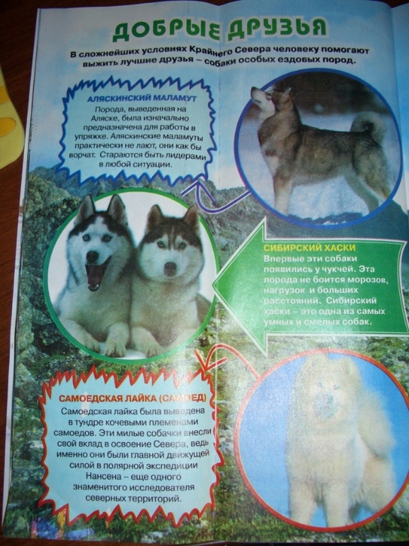 Журнал