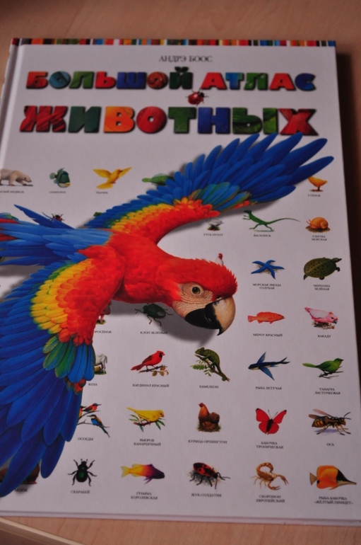 Еще книги.