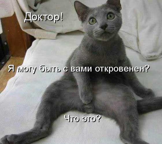 Минутка улыбки)