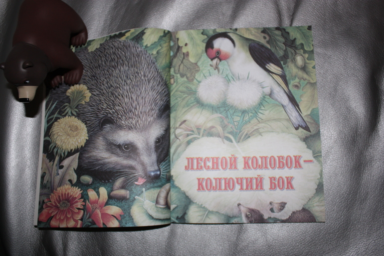 Февральское пополнение