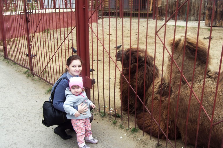 Наш поход в зоопарк