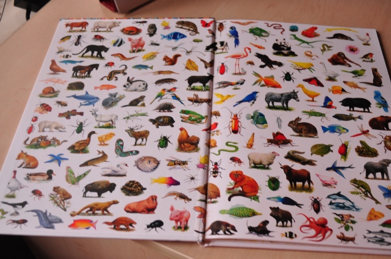 Еще книги.