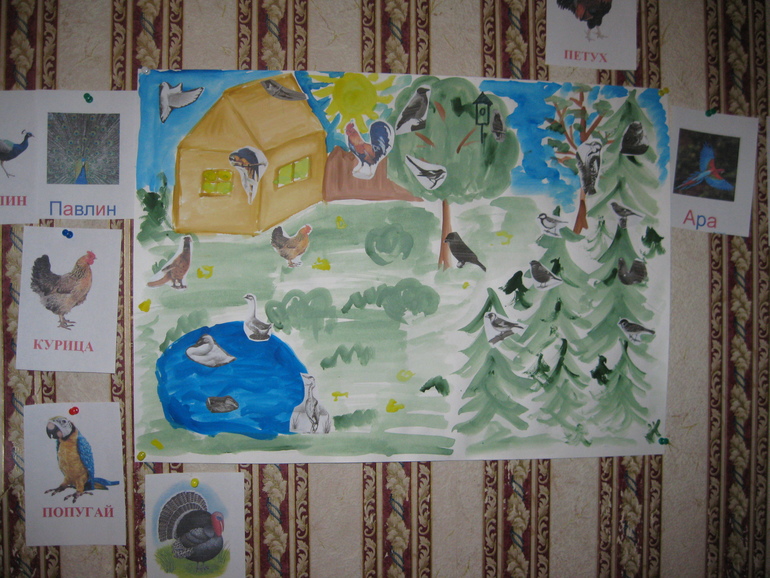 День первый. Птицы.