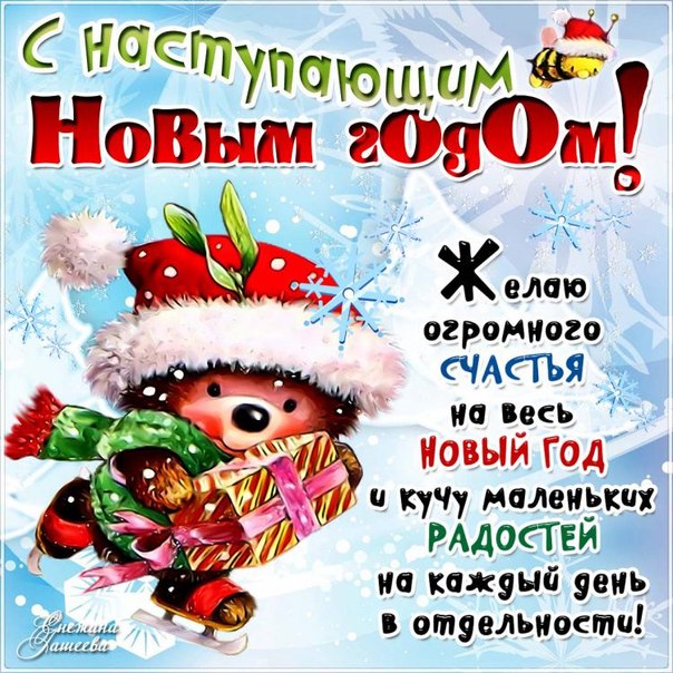 C Новым Годом ЭКОшечки!