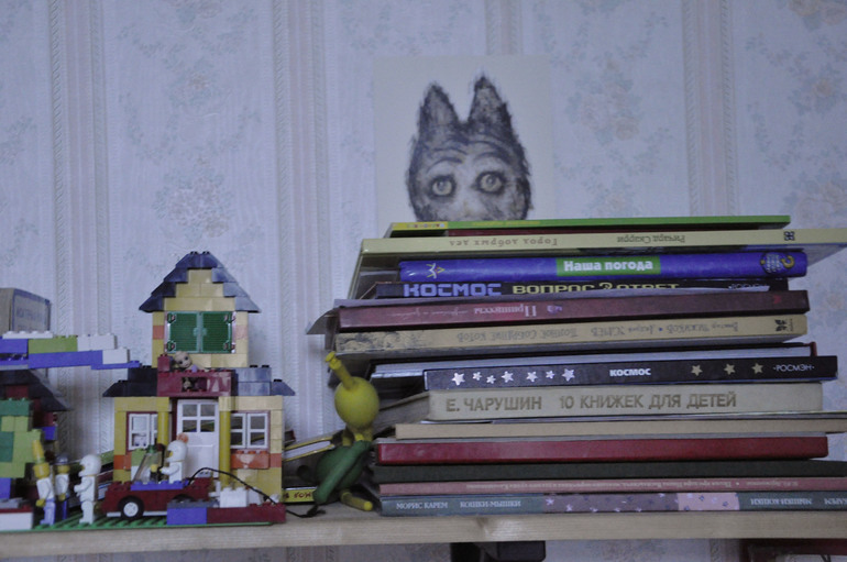 книжная полка