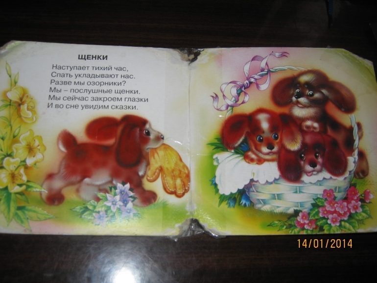 Софиюшкини книжные любимчики ( только начало)
