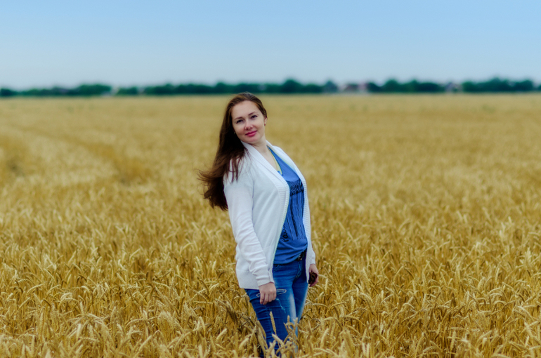 Пшеничное поле