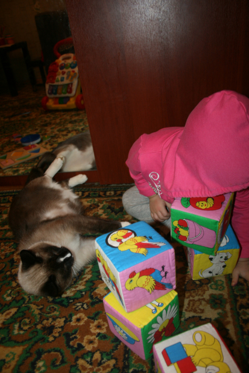 Приютите кота на 3 недели ))