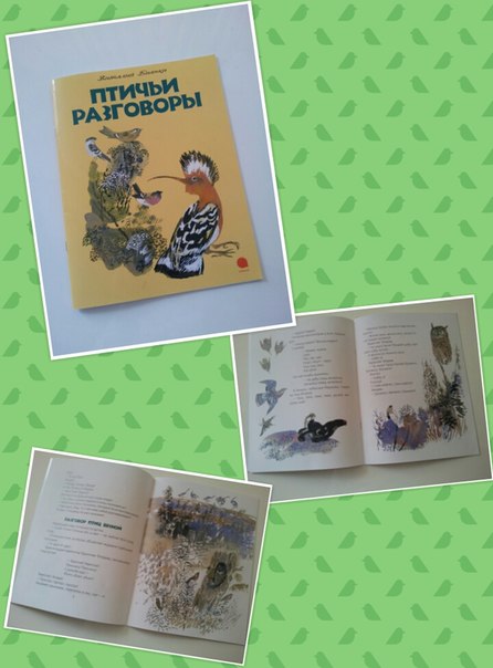 ТН "Весна", Здравствуйте птицы!