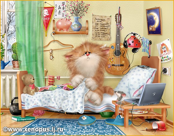 Классные коты;)