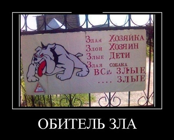 Немного позитива, перед выхами.