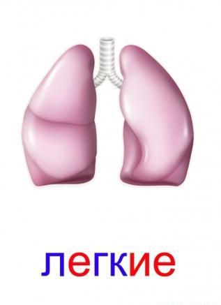 Мир вокруг нас - тематический день.