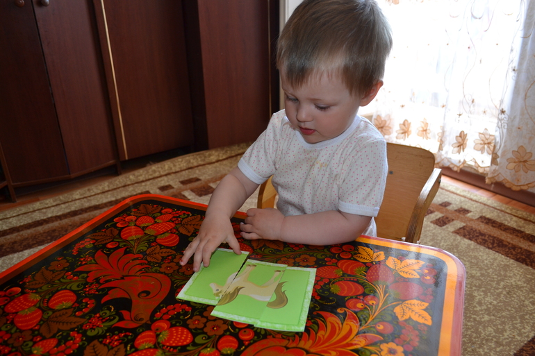 ТЗ Лошадь