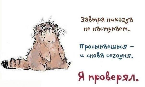 "Начинаю завтра!". День 0