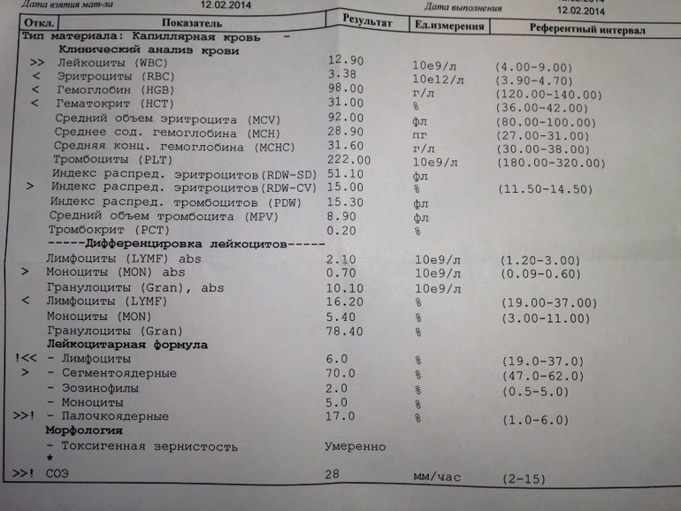 Общий анализ крови