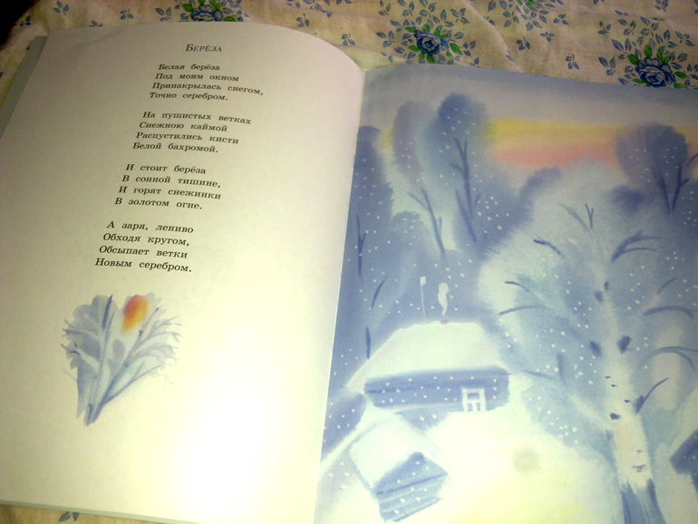 Новые поступления книжечек.