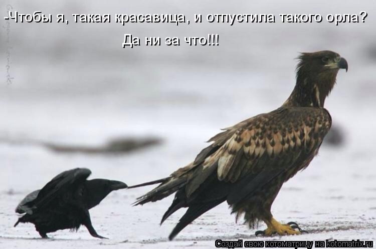 Предпразничное :))