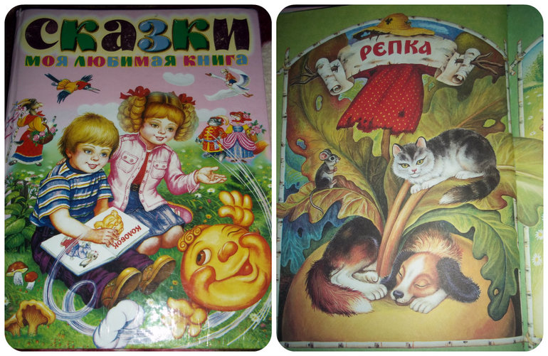ТЗ Репка