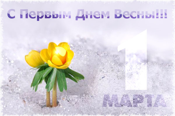 С масленицей всех!!!!!!С ВЕСНОЙ!!!!!!!!!