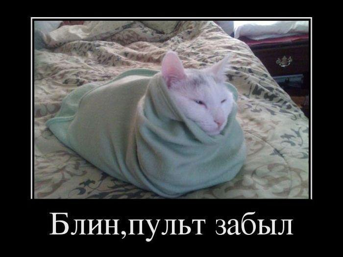 Картинки