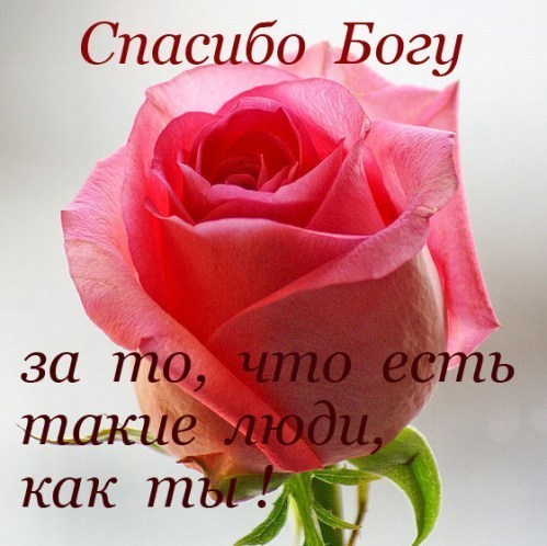 Благодарю от всей души