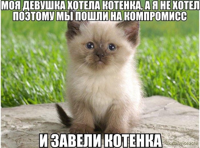 Немного позитива.