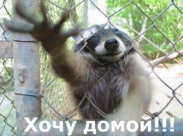 Господи, ну зачем я здесь сегодня???