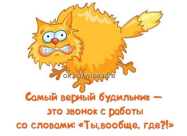 Немного позитива.