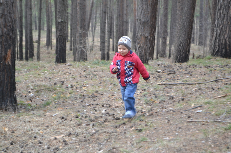 Прогулка в лесу 20.04.2014