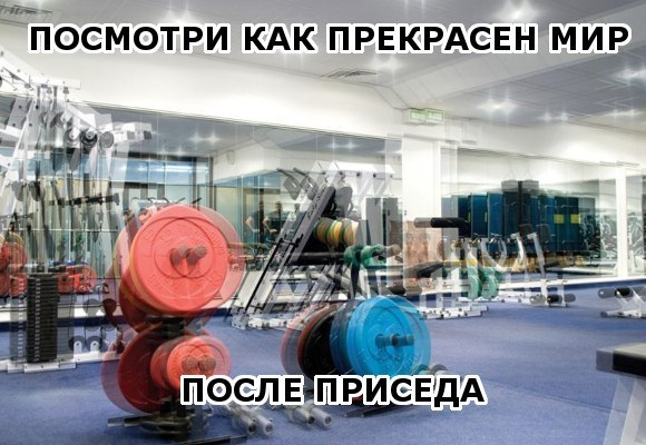 Две жаркие недели..