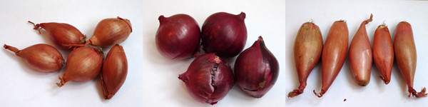 ТН
