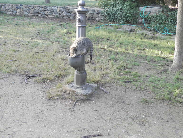 Январские прогулки