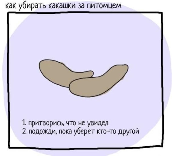 вредные советы по уборке :)