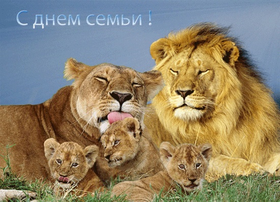 День семьи!