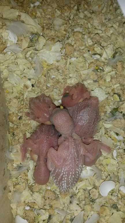 Опять пять)