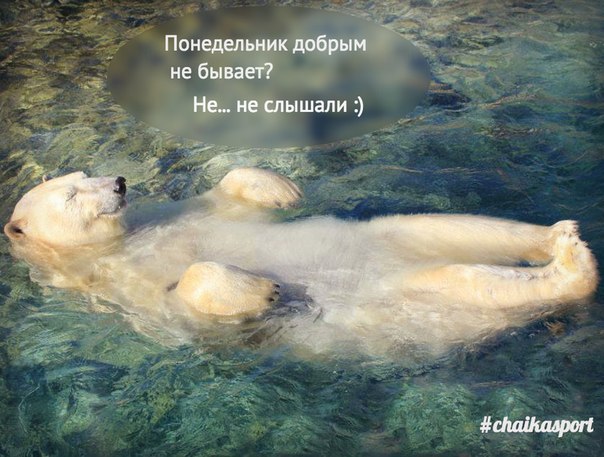 Начало новой учебной недели. Четверти.