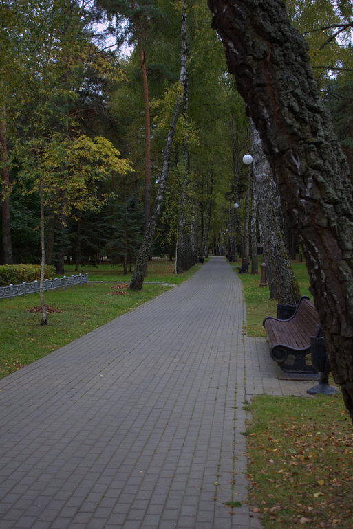 Минск. Осень 2013 г