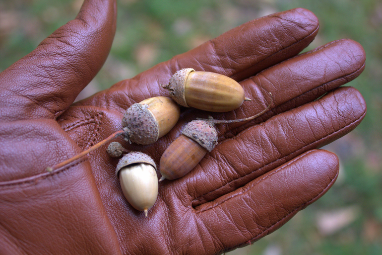 Минск. Осень 2013 г