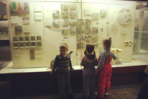Палеонтологический музей Рита и ее двоюродная сестра Аня и четвероюродный брат Дима так же крестные которые ее возили и ее тетя троюродная Алена